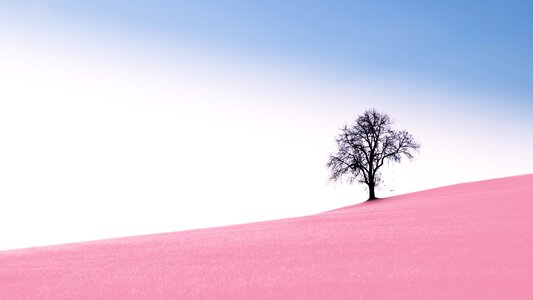 Panorama alone sky