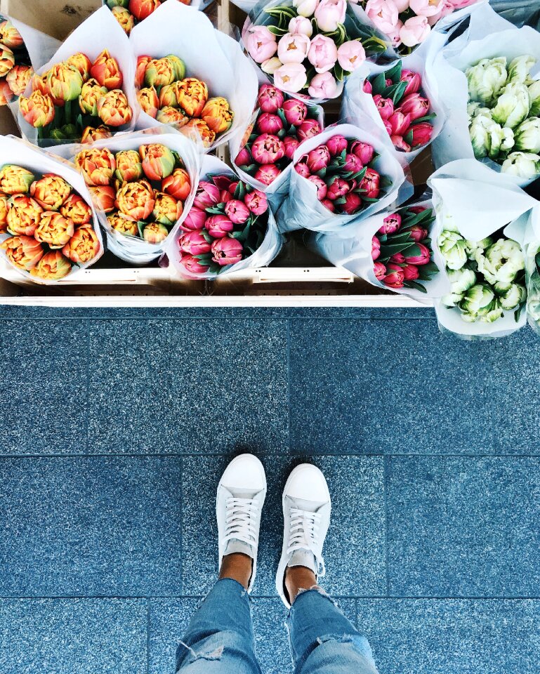 Plant display footwear