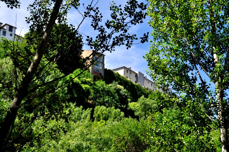 Béjar - Salamanca (15667139090)