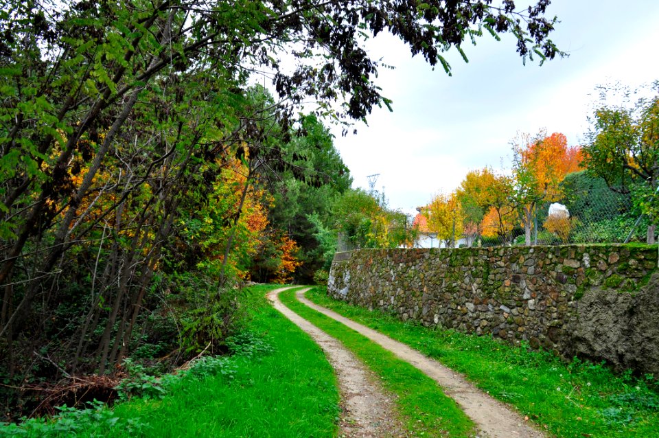 Béjar - Salamanca (15873881852)