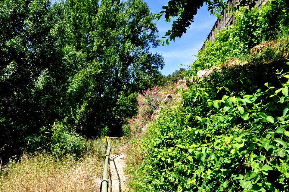 Béjar - Salamanca (15668626637)