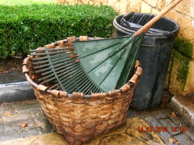 Cesto y rastrillo (4687924864)