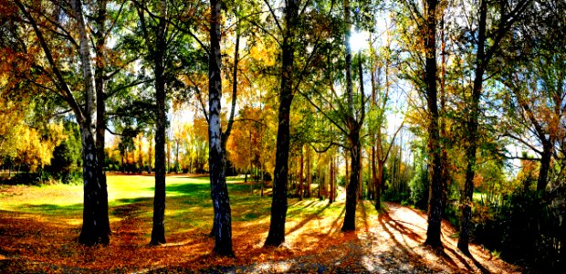 Changing seasons. (51178109379)