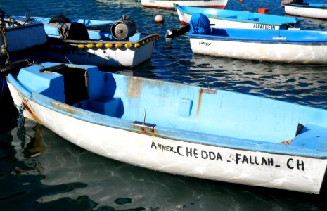CHEDDA FALLAH (6527310117)