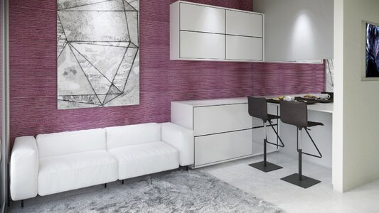 Contemporary furniture inside