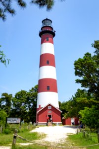 Chincoteague National Wildlife Refuge (48432924192)