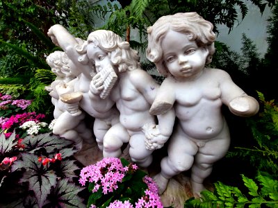 Cherubs. (50636504366)