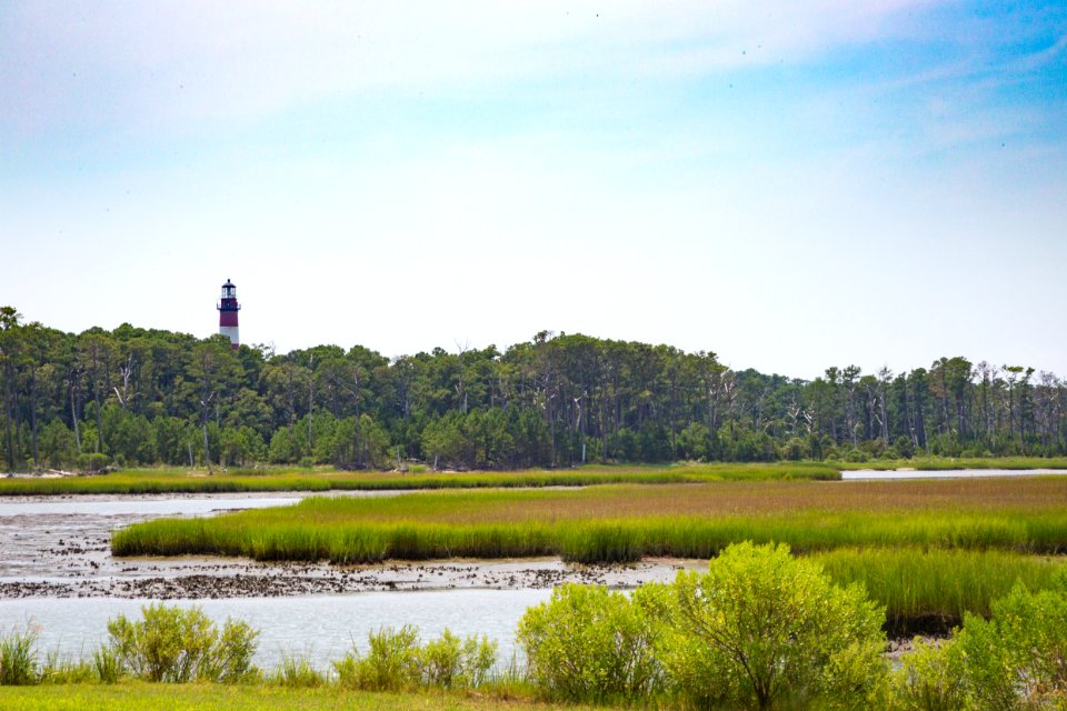 Chincoteague National Wildlife Refuge (48432778191)