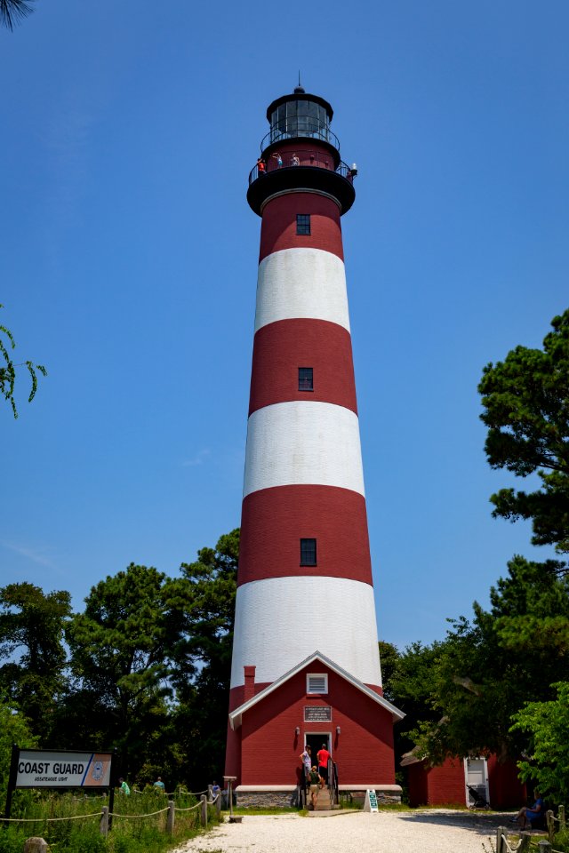 Chincoteague National Wildlife Refuge (48432777941)
