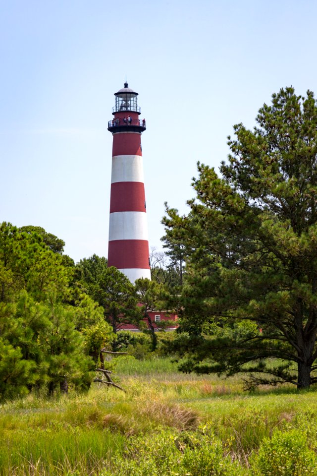 Chincoteague National Wildlife Refuge (48432777286)