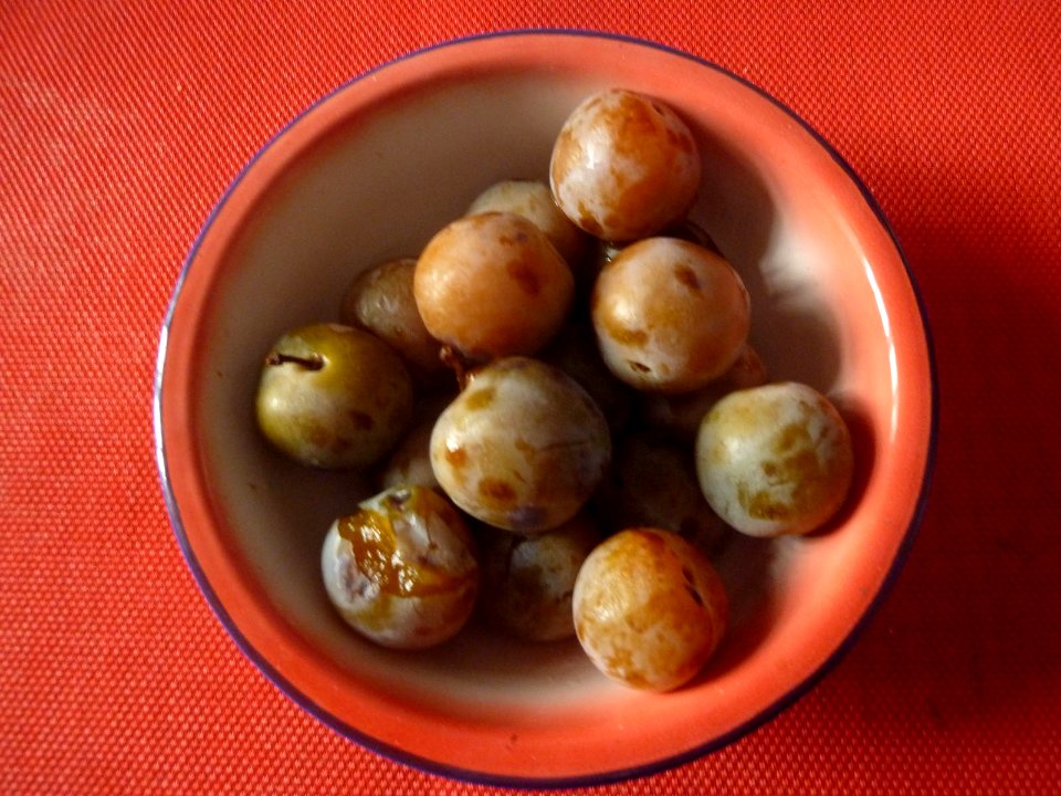 Ciruelas (7911947194)