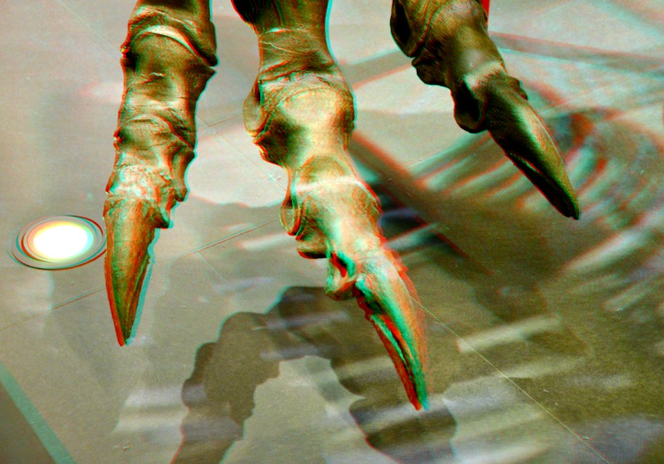 Claw T.Rex NATURALIS Leiden 3D (29968946824)