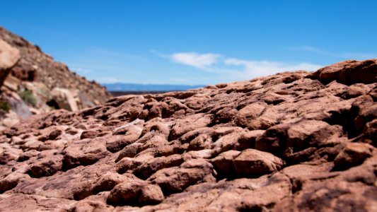 Cleveland-Lloyd Dinosaur Quarry, Utah (35432160795)