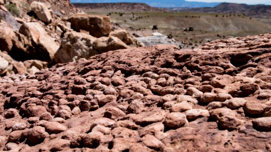 Cleveland-Lloyd Dinosaur Quarry, Utah (35392584956)