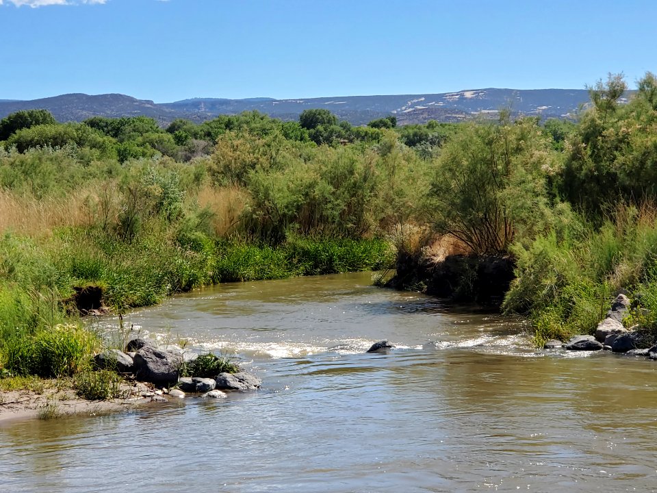 Colorado River at Los Colonias Park (51275892632)