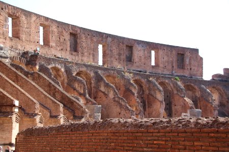 Colosseum (48416264342) photo