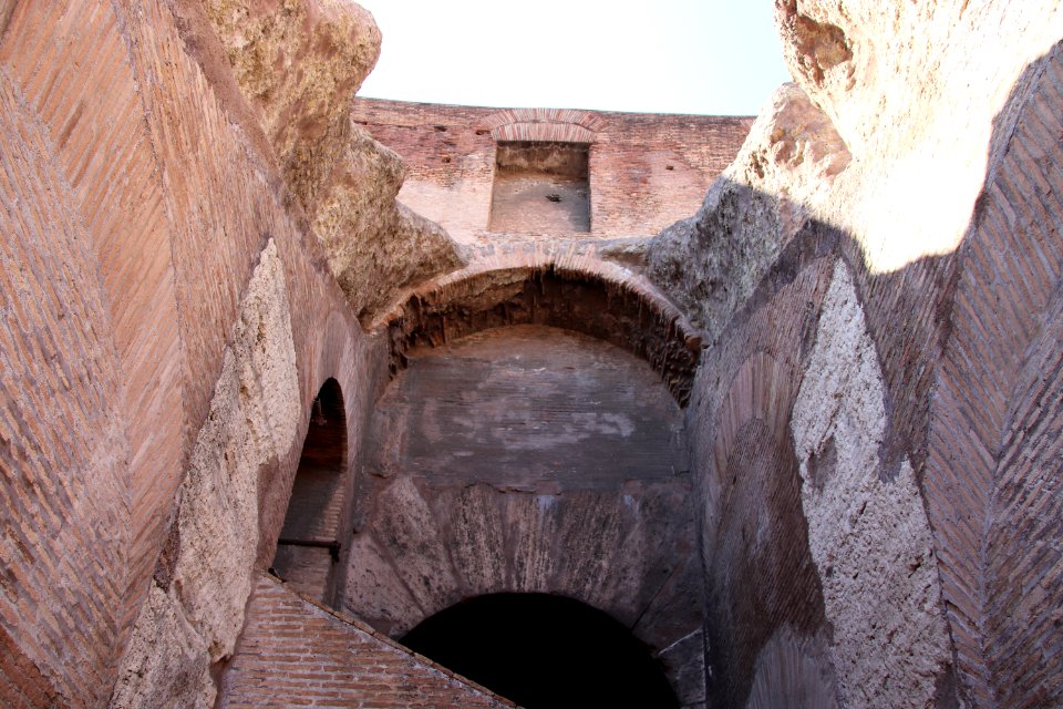 Colosseum (48416299712)