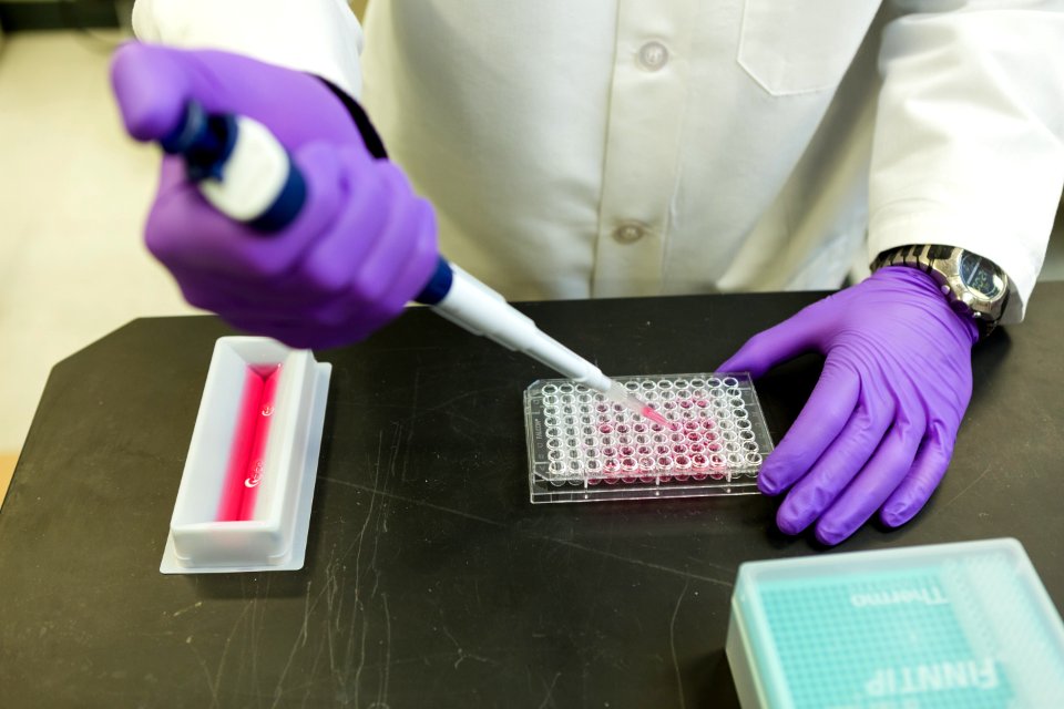 Compound Testing (37821505085)