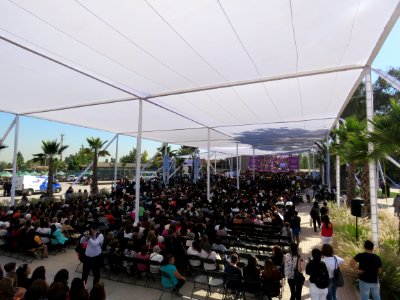 Conmemoración Día de las Mujeres 2017 (32515297583)