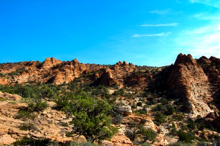 Cottonwood Point Wilderness (35410294735)