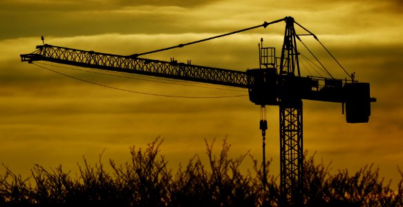 Crane on the horizon (17179485095)