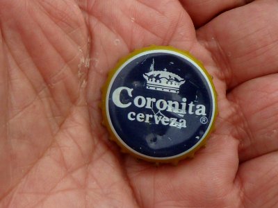 Coronita (7655756086)