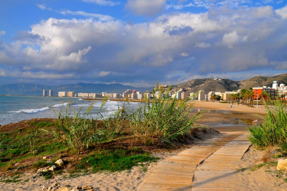 Cullera (15661245516)