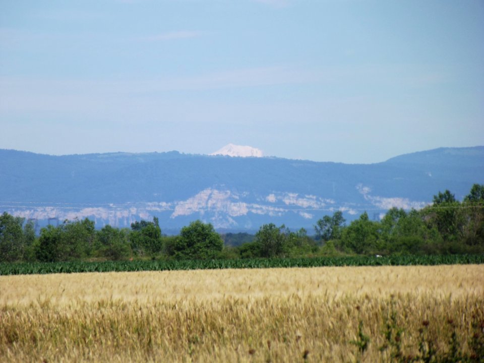 Côtière de l'Ain - 201906 0282 (50210333672)