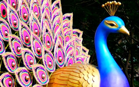 Deepavali lightup - peacock display - Flickr - GeorgeTan ^2...thanks for millionth support photo