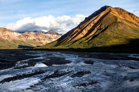 Denali National Park and Preserve (33234928055) photo