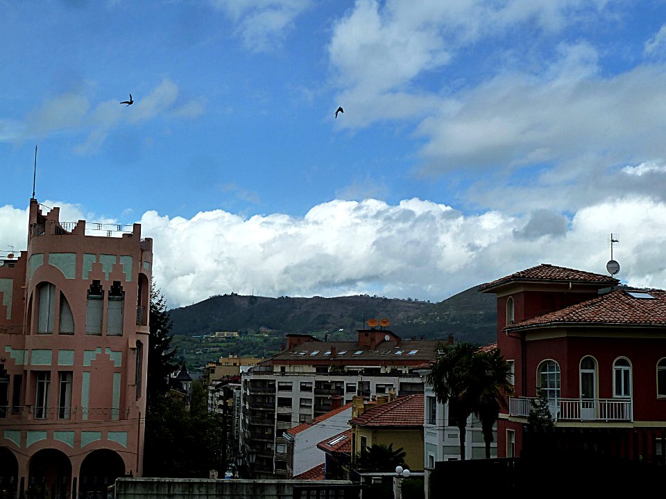 Desde el Seminario, 2013 (8642265709)