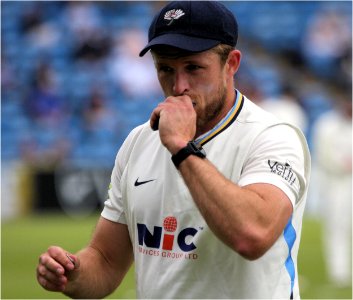 David Willey (51223172836)