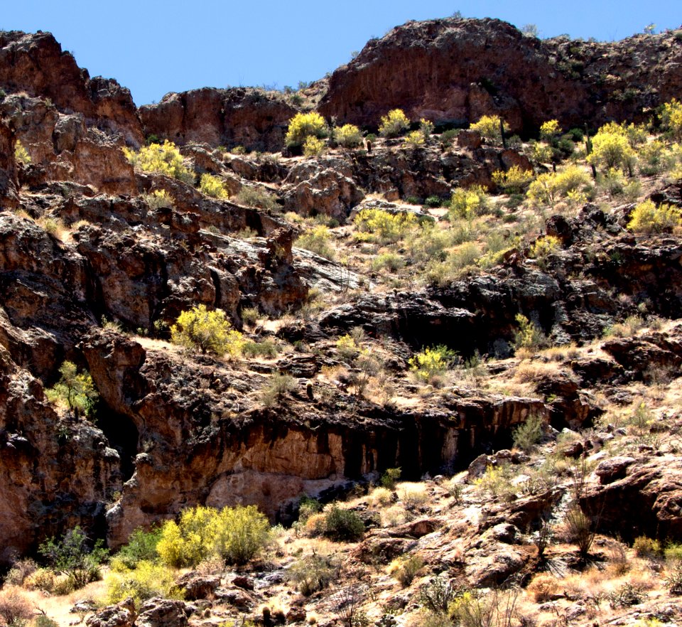 Desert Varnish on Rock Walls (14228103398)