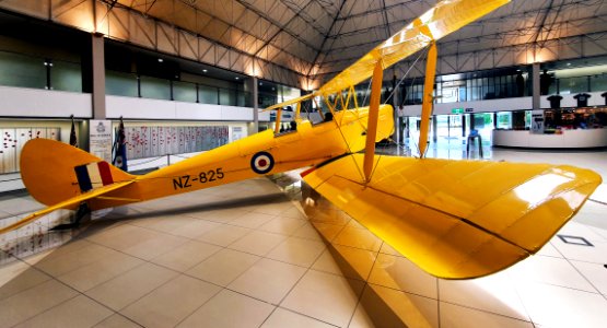 De Havilland D.H.82A Tiger Moth Mk.II (50619391483)
