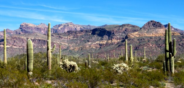 Diablo Mountains and Cactus (12597367655) photo