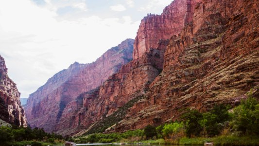 Dinosaur National Monument Monarch Survey (48765166903)