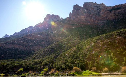 Dinosaur National Monument Monarch Survey (48765170293)