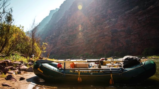 Dinosaur National Monument Monarch Survey (48765496251)