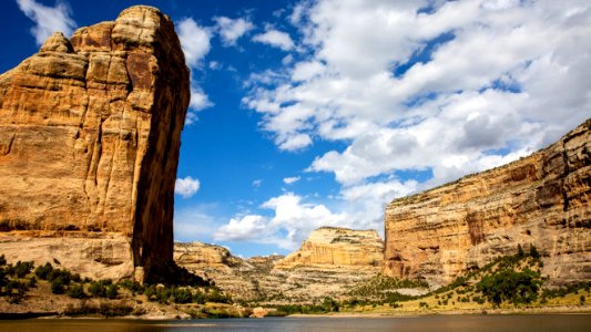 Dinosaur National Monument Monarch Survey (48765503286)