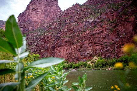 Dinosaur National Monument Monarch Survey (48765507171)