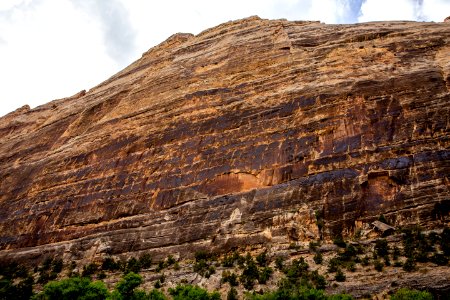 Dinosaur National Monument Monarch Survey (48765699462)