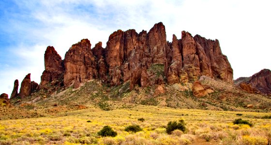 Distant Peaks and Brittlebush in Bloom (27633049359)