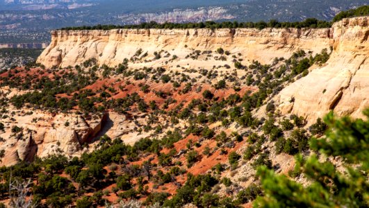 Dinosaur National Monument Monarch Survey (48765168693)