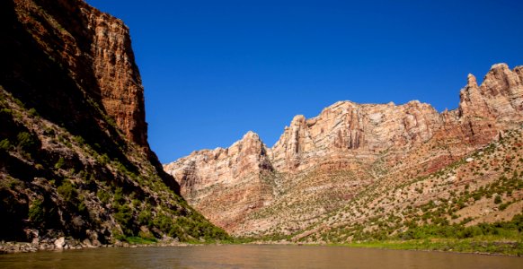 Dinosaur National Monument Monarch Survey (48765169853) photo