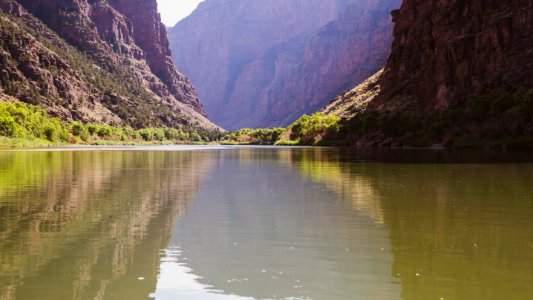 Dinosaur National Monument Monarch Survey (48765167738)