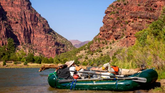 Dinosaur National Monument Monarch Survey (48765495981)