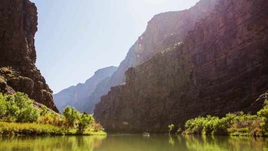 Dinosaur National Monument Monarch Survey (48765498096)