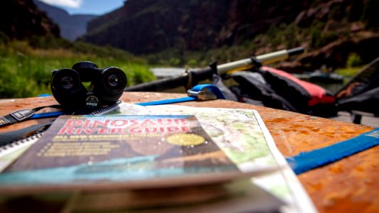 Dinosaur National Monument Monarch Survey (48765176578)