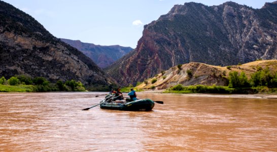 Dinosaur National Monument Monarch Survey (48765501806)