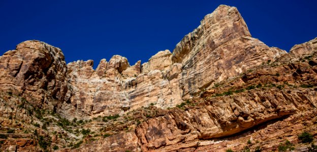 Dinosaur National Monument Monarch Survey (48765695137)